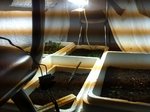 IMG_3077.JPG