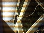 IMG_3079.JPG
