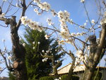 DSCN7409.JPG