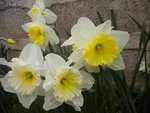 DSCN7445.JPG