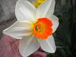 DSCN7448.JPG