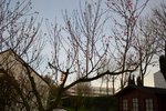 DSC_0006 - Copie.JPG