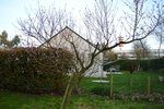 DSC_0007 - Copie.JPG