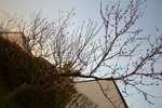 DSC_0011 - Copie.JPG