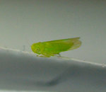 prise de vue sans titre-020.jpg
