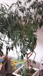 20170318_145339_net.jpg