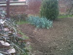 IMG01802-20170323-1424.jpg