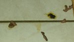20170322_170352.jpg