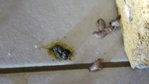 20170322_170341.jpg