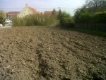 IMG01812-20170324-1337.jpg
