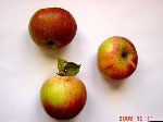 DSC01072.JPG