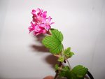 100_3239.JPG