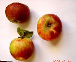 DSC01073.JPG