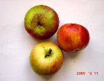 DSC01074.JPG