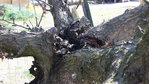 DSC04129.JPG