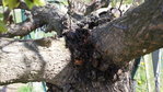 DSC04130.JPG