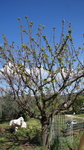 DSC04131.jpg