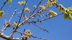 DSC04134.JPG