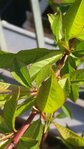 20170326_163729-600x1067.jpg