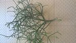 WP_20170328_16_10_29_Pro.jpg