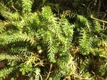 IMG_1758   4.jpg