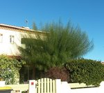 20161117_093851 (Copier).jpg