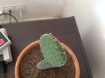 IMG_6550.JPG
