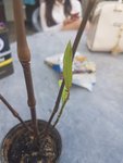 20170404-172000.jpg