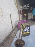 20170404-171843.jpg