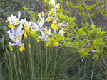 DSCN7501.JPG