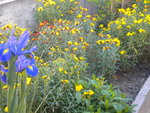 DSCN7515.JPG