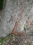 IMG_20170404.jpg