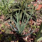 20170408_124914.jpg