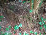 2017-04-01 19.20.53.jpg