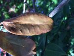 IMG_1865.JPG