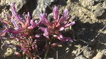 DSC03124.JPG