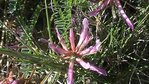 DSC03125.JPG