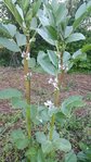 20170409_092580.jpg