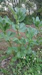20170409_092581.jpg