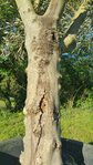 20170409_092482.jpg