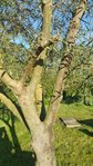 20170409_092483.jpg