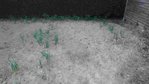 P_20170411_195802_1_1.jpg