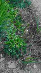 P_20170411_195742_1_2.jpg