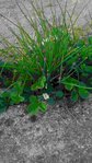 P_20170411_195715_1_2.jpg