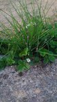 P_20170411_195715.jpg