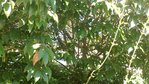 DSC_0459.jpg