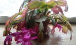20170415_115432 - Copie.jpg
