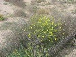 IMG_0470.JPG