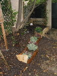 IMG_9203.jpg