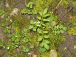 DSCN3115.jpg